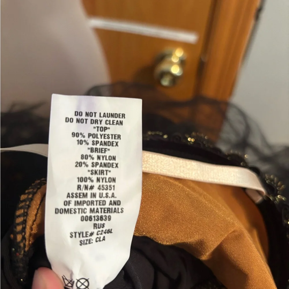 Black and Bronze Ballet Costume - Picture 5 of 6